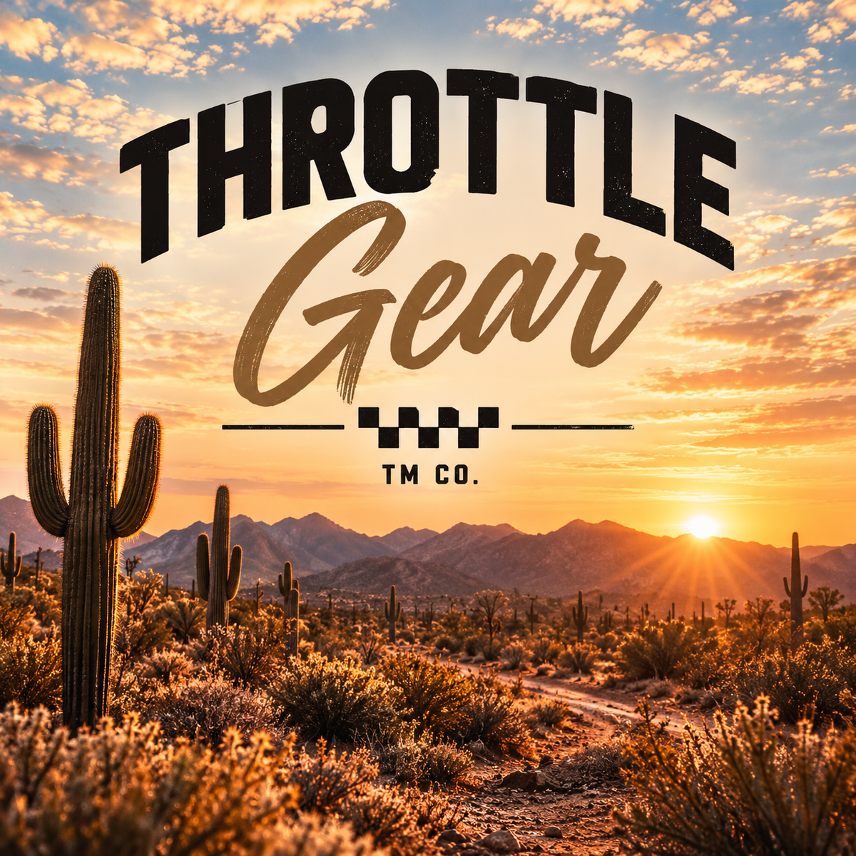 Throttle Gear