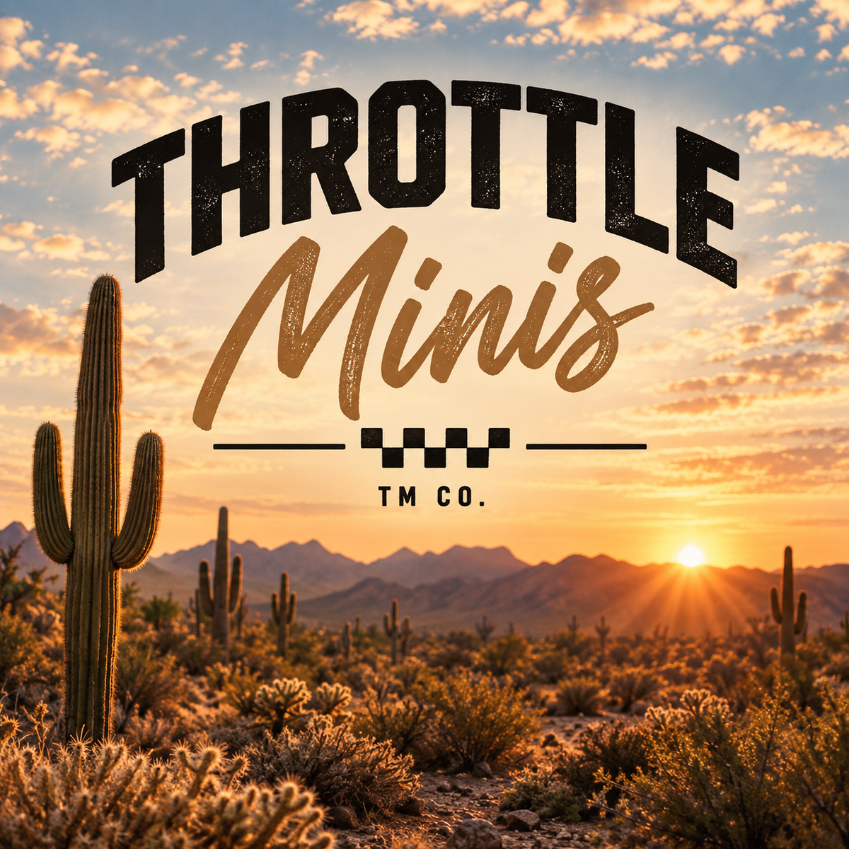 Throttle Minis